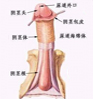 天津静海首家专业男科医院